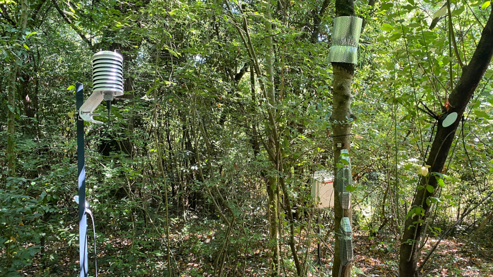 Des sciences participatives à la poétique de la recherche :: Projet Ecodoc
