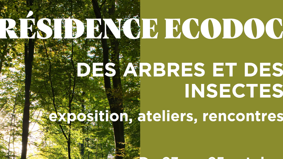 Résidence ECODOC à Arès :: Projet Ecodoc