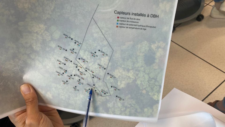 Médiation scientifique en bibliothèque :: Projet Ecodoc