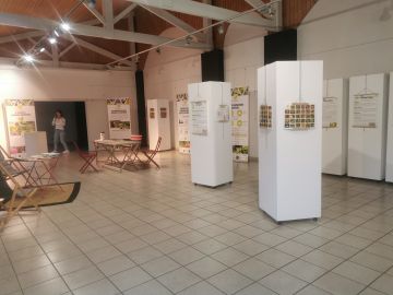 Salle d'exposition