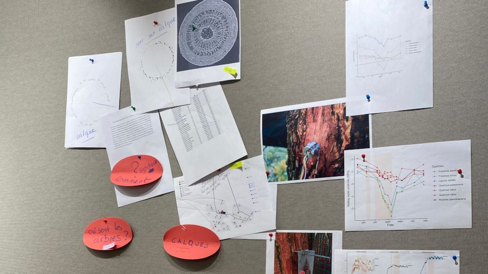 CoPil 3 :: Projet Ecodoc