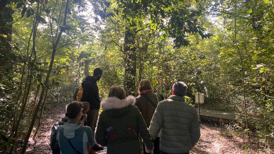 Photophore forêt en verre Grand modèle