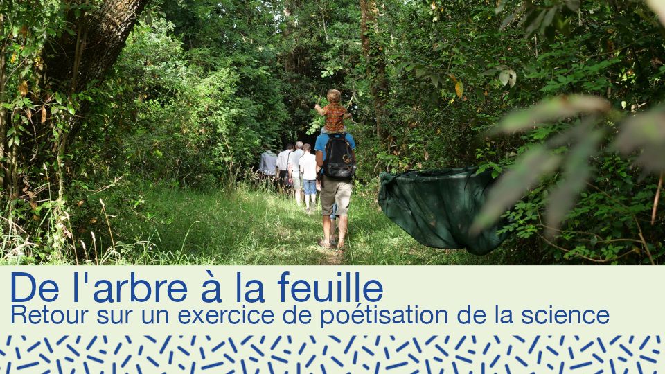 Retour sur un exercice de poétisation de la science :: Projet Ecodoc