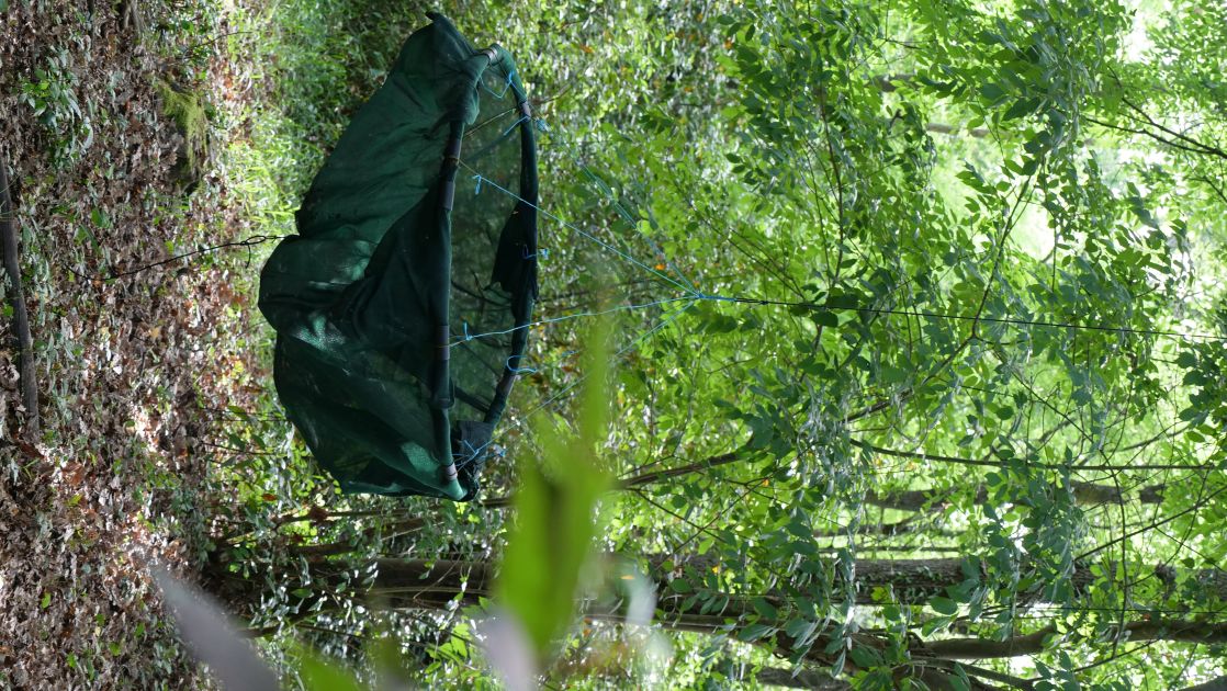 FORLand :: Projet Ecodoc
